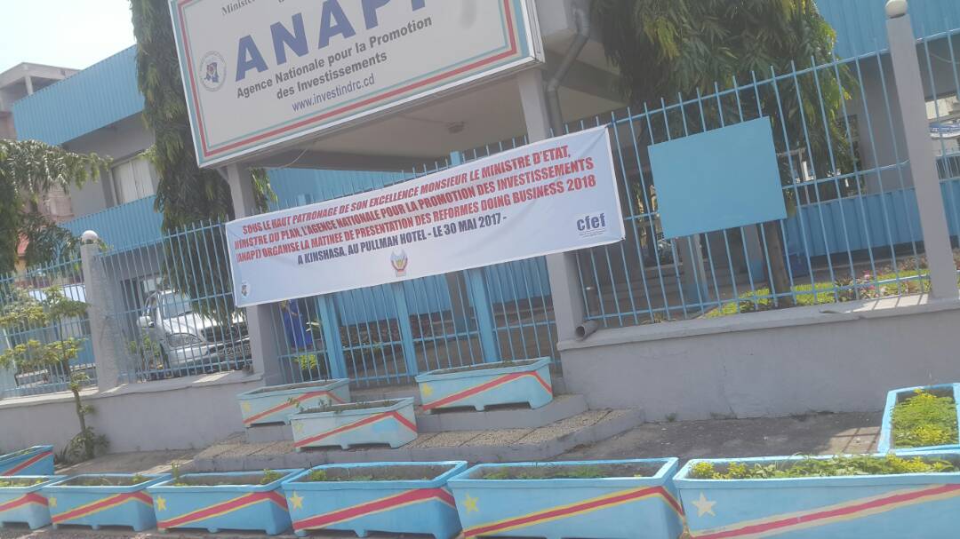 ANAPI, investir en RDC