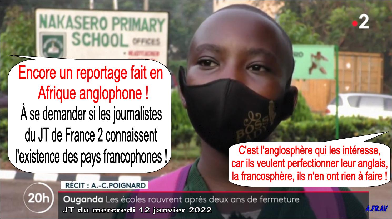 /Anne-Claire Poignard et l'Afrique francophone au JT de 20h de France 2