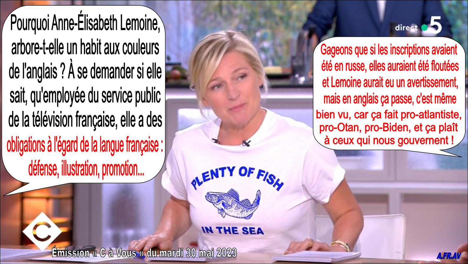 Anne-Elisabeth Lemoine et ses habits en anglais sur France 5 dans C à Vous
