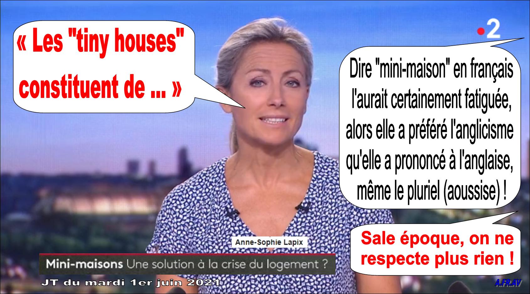 Anne-Sophie Lapix et Didier Sébastien, journalistes au 20h de France 2