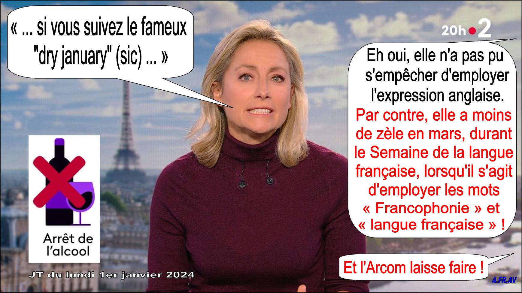 Anne-Sophie Lapix et le mois sans alcool, JT de 20h de France 2, France Télévisions
