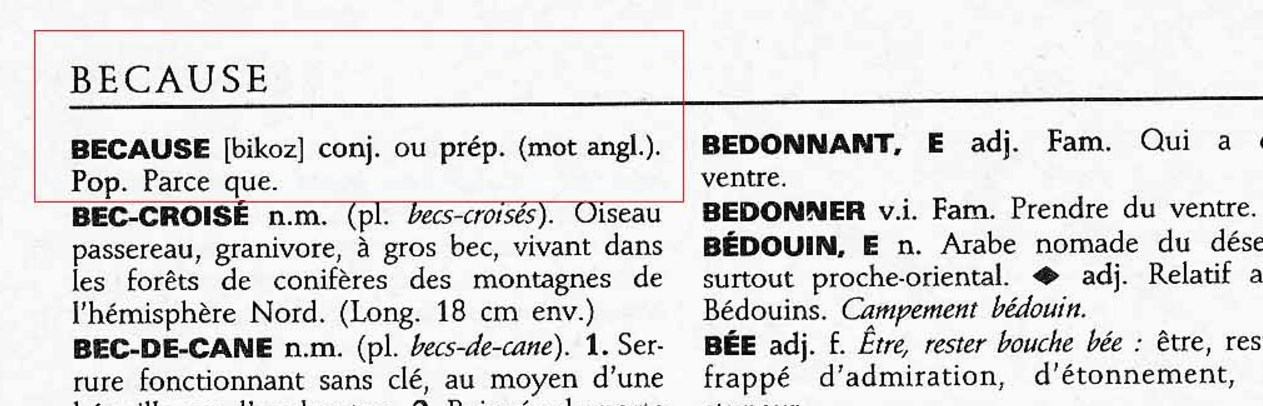 Quand un mot anglais sort du Larousse
