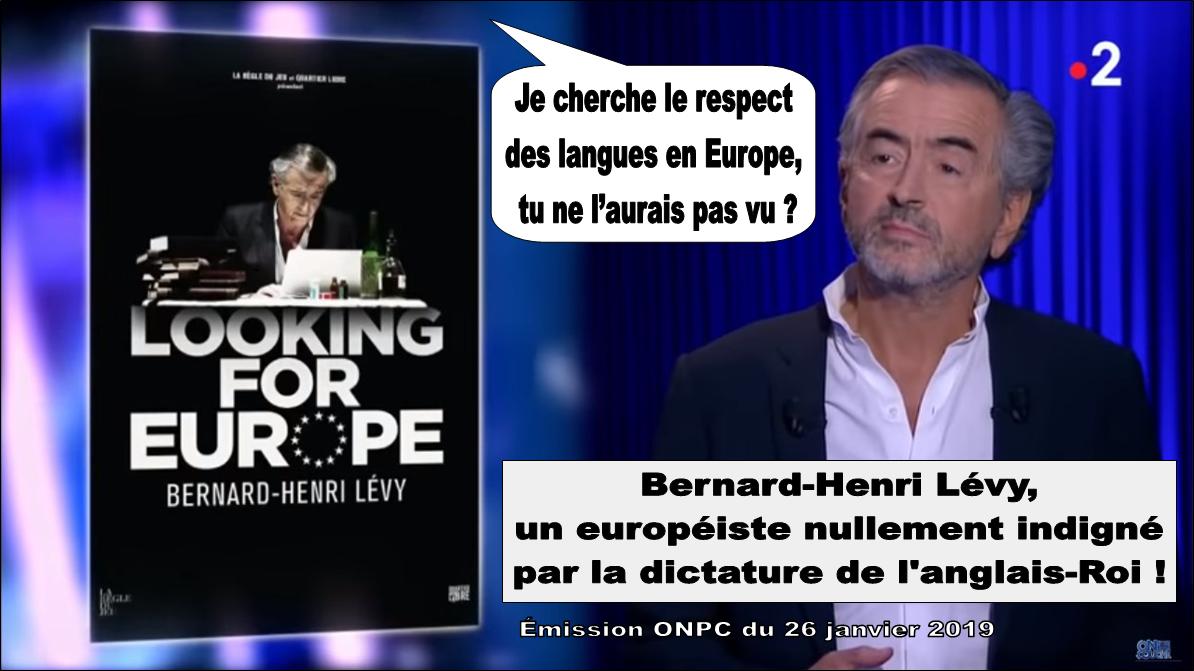 Bernard-Henri Lévy et la langue française