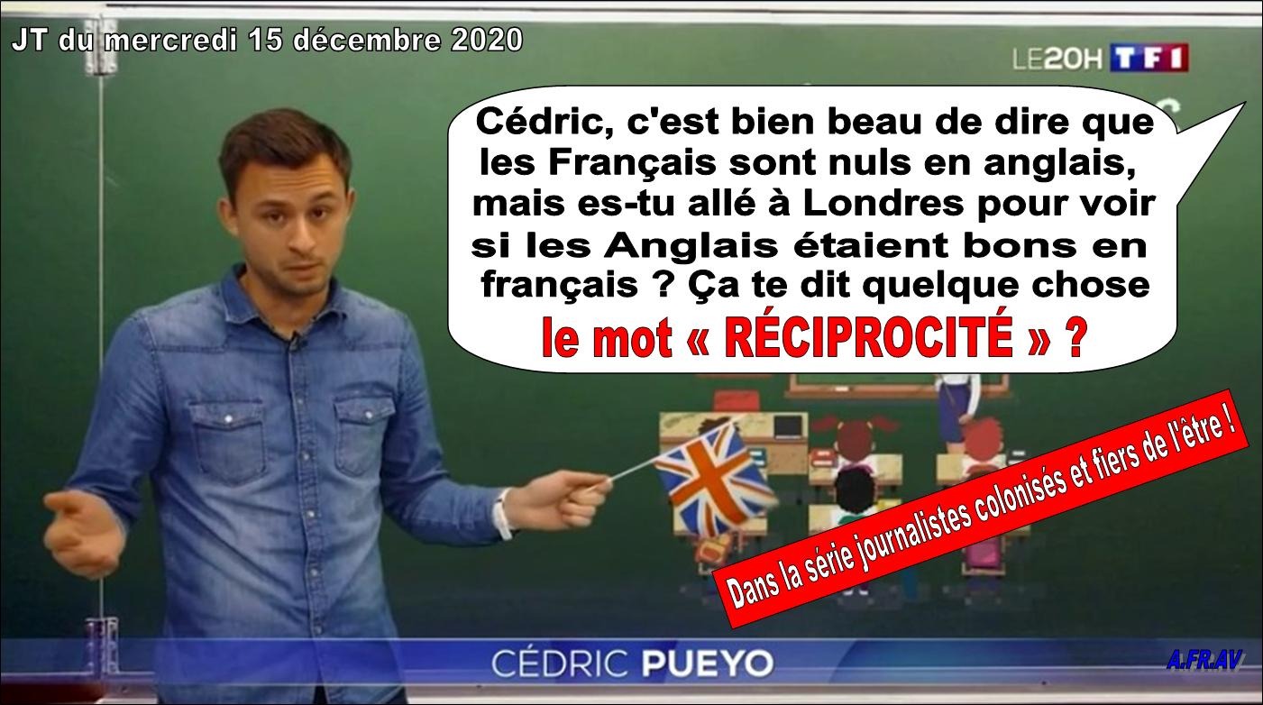 C�dric Pueyo, journaliste VRP de l'anglais - TF1