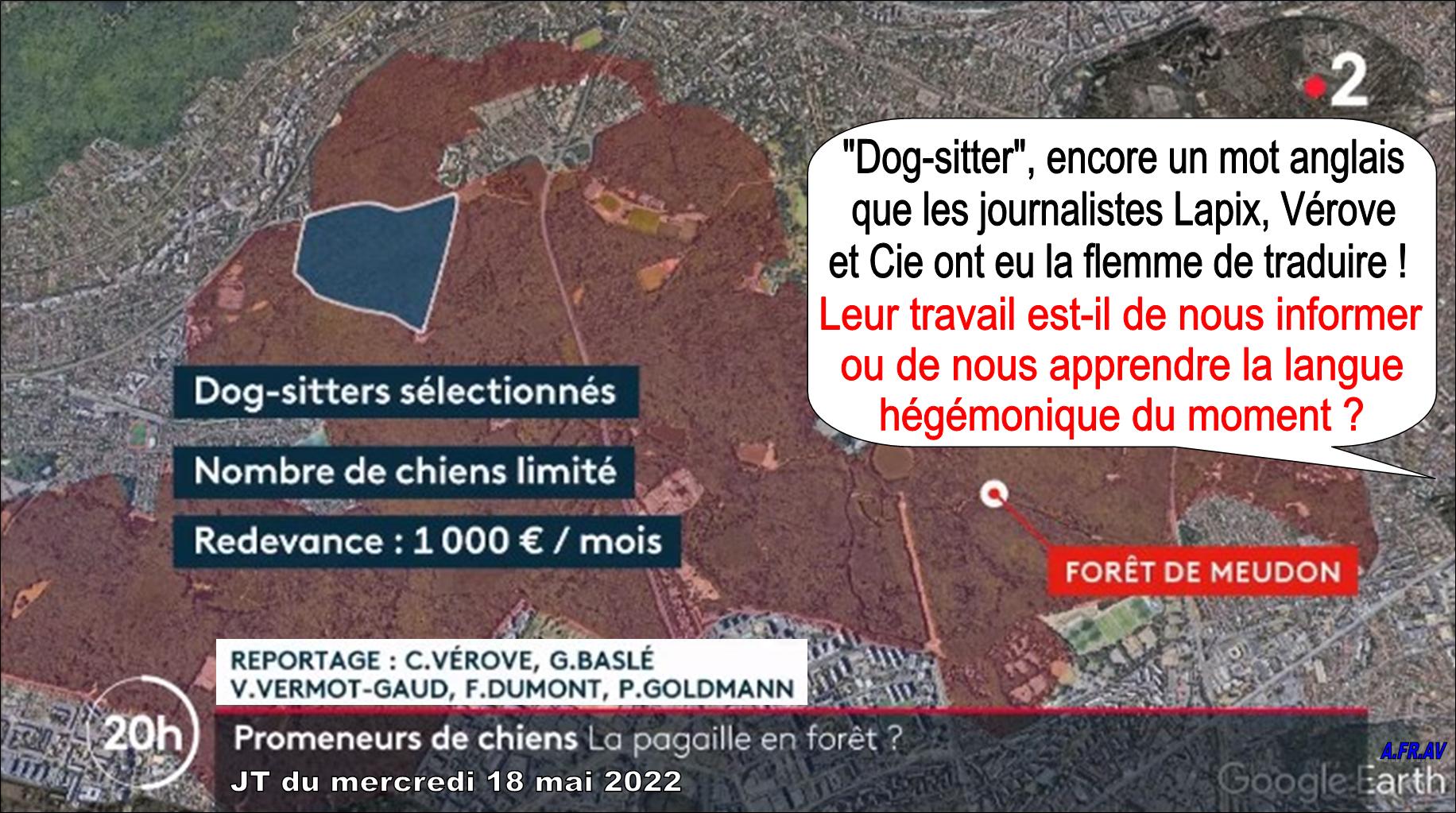 Claire Verove, Anne-Sophie Lapix et les anglicismes, JT de 20h, France 2