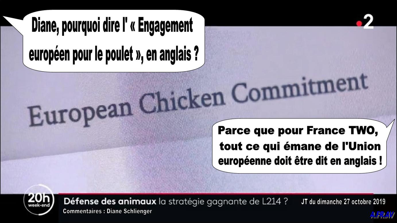 Diane Schlienger, journaliste à France 2 et l'European Chicken Commitment
