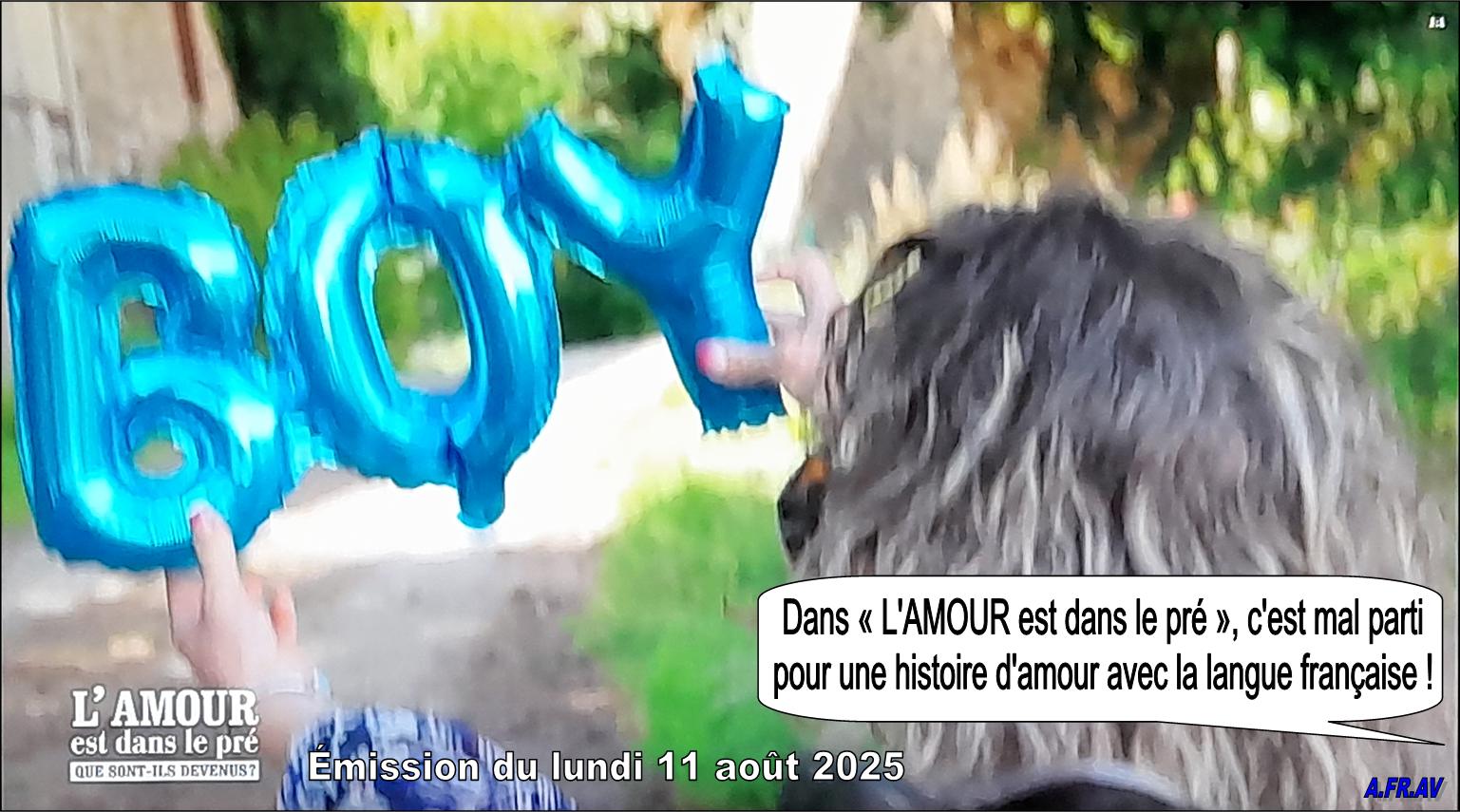 Emission L'AMOUR est dans le pré, Karine Le Marchand, chansons en anglais, langue française, Métropole Télévision, M6