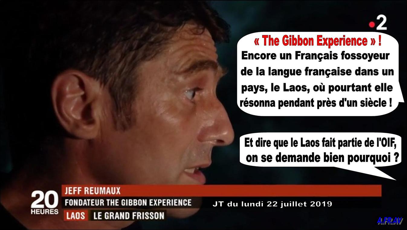 Jeff Reumaux au Laos,The Gibbon experience