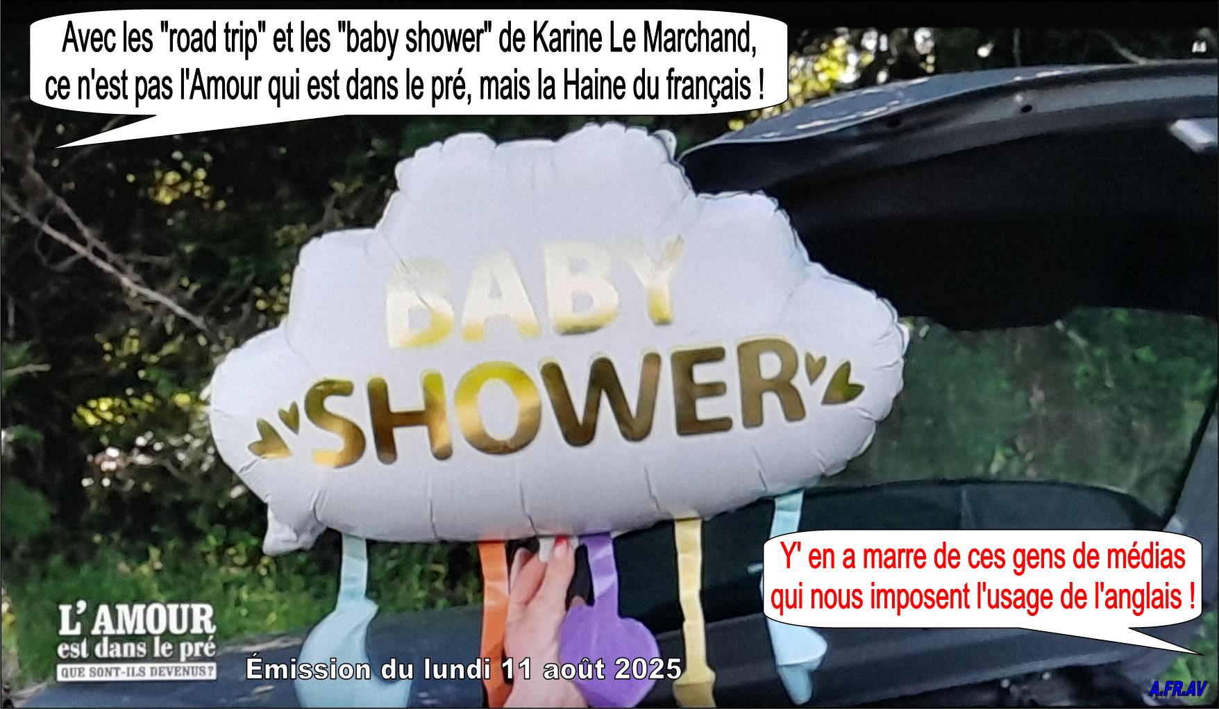 L'Amour est dans le pré, Karine Le Marchand, langue française, baby shower, Métropole Télévision, M6