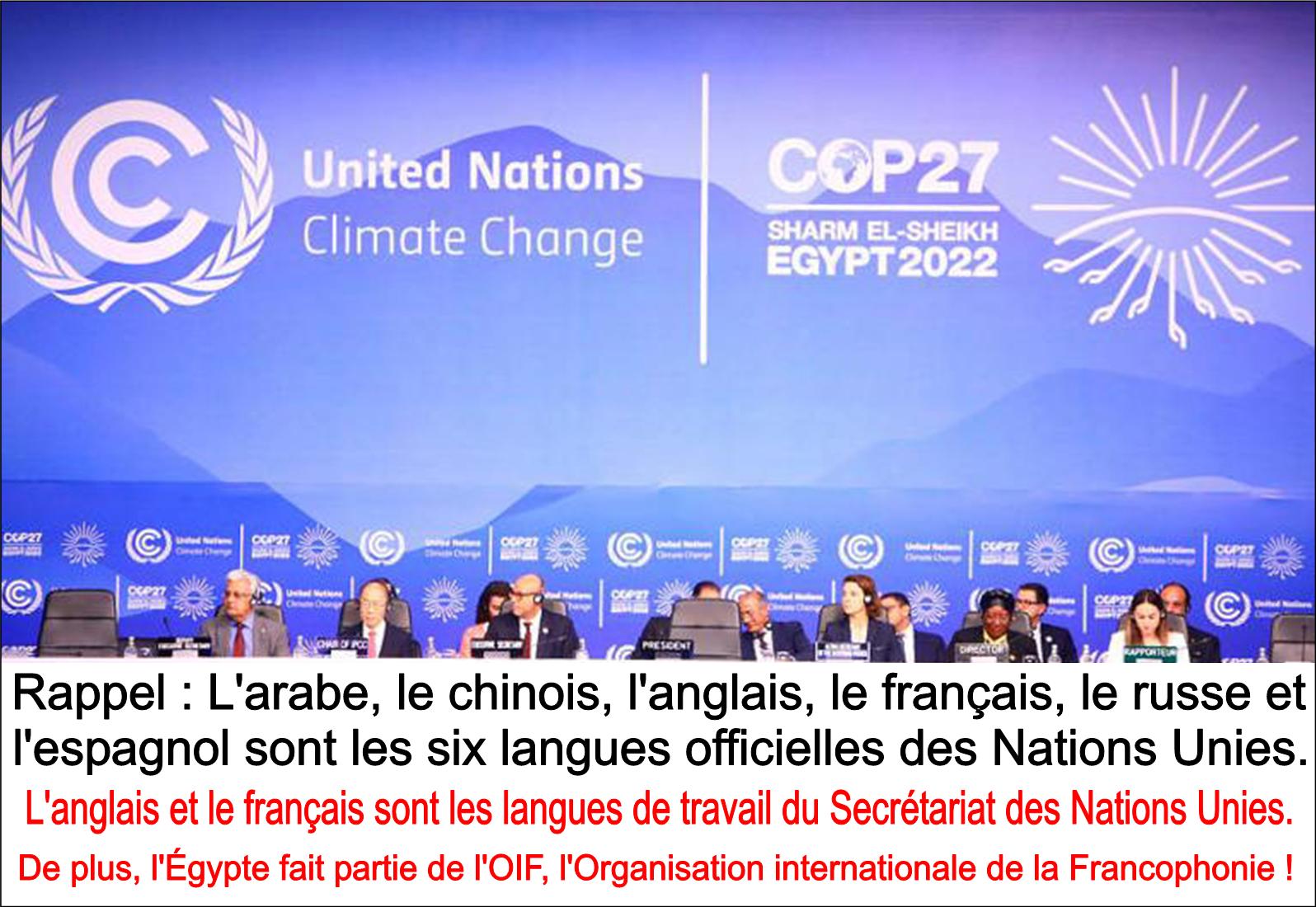 L'ONU, l'Egypte et la langue française