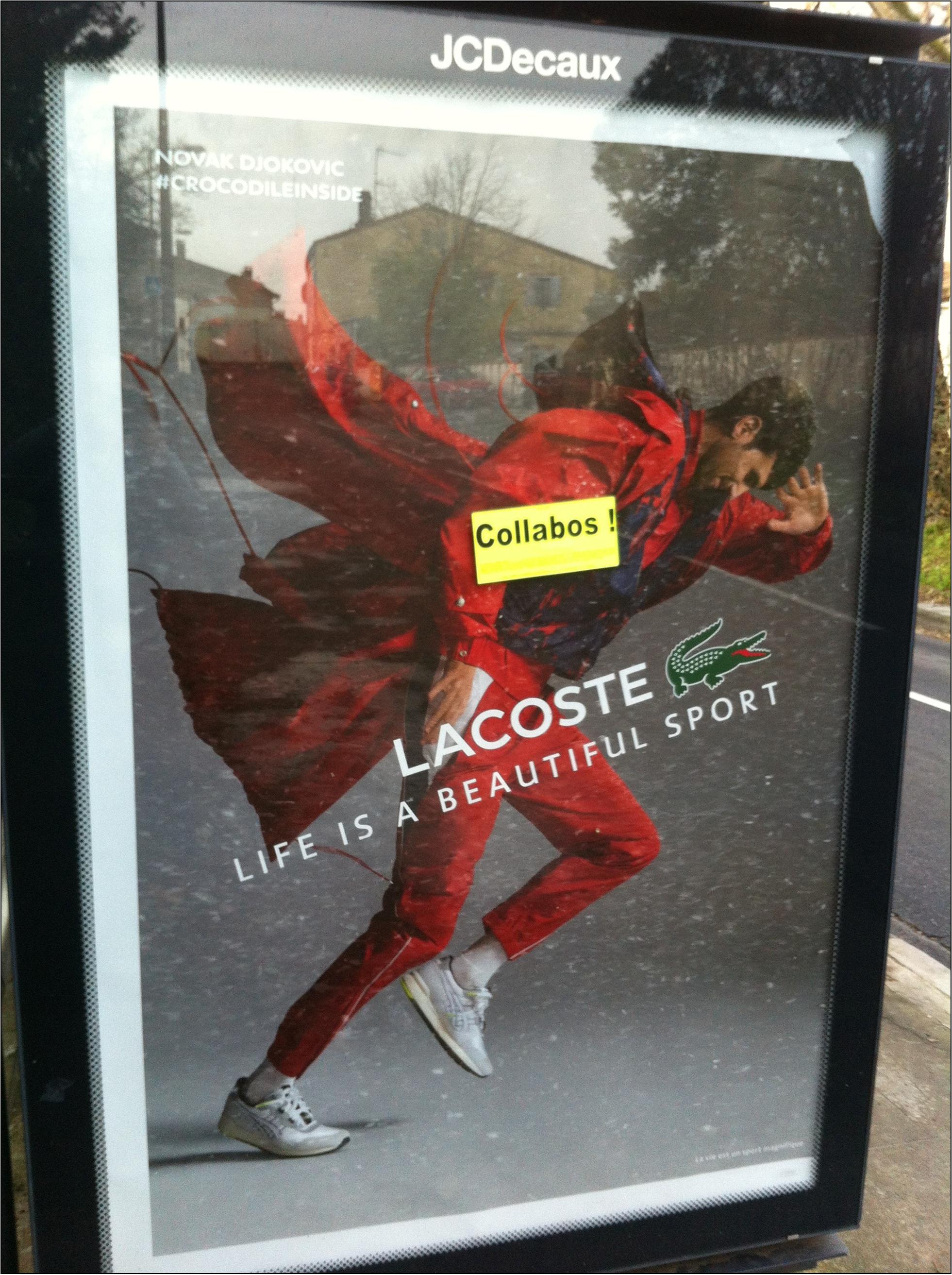Lacoste Novak Djokovic
