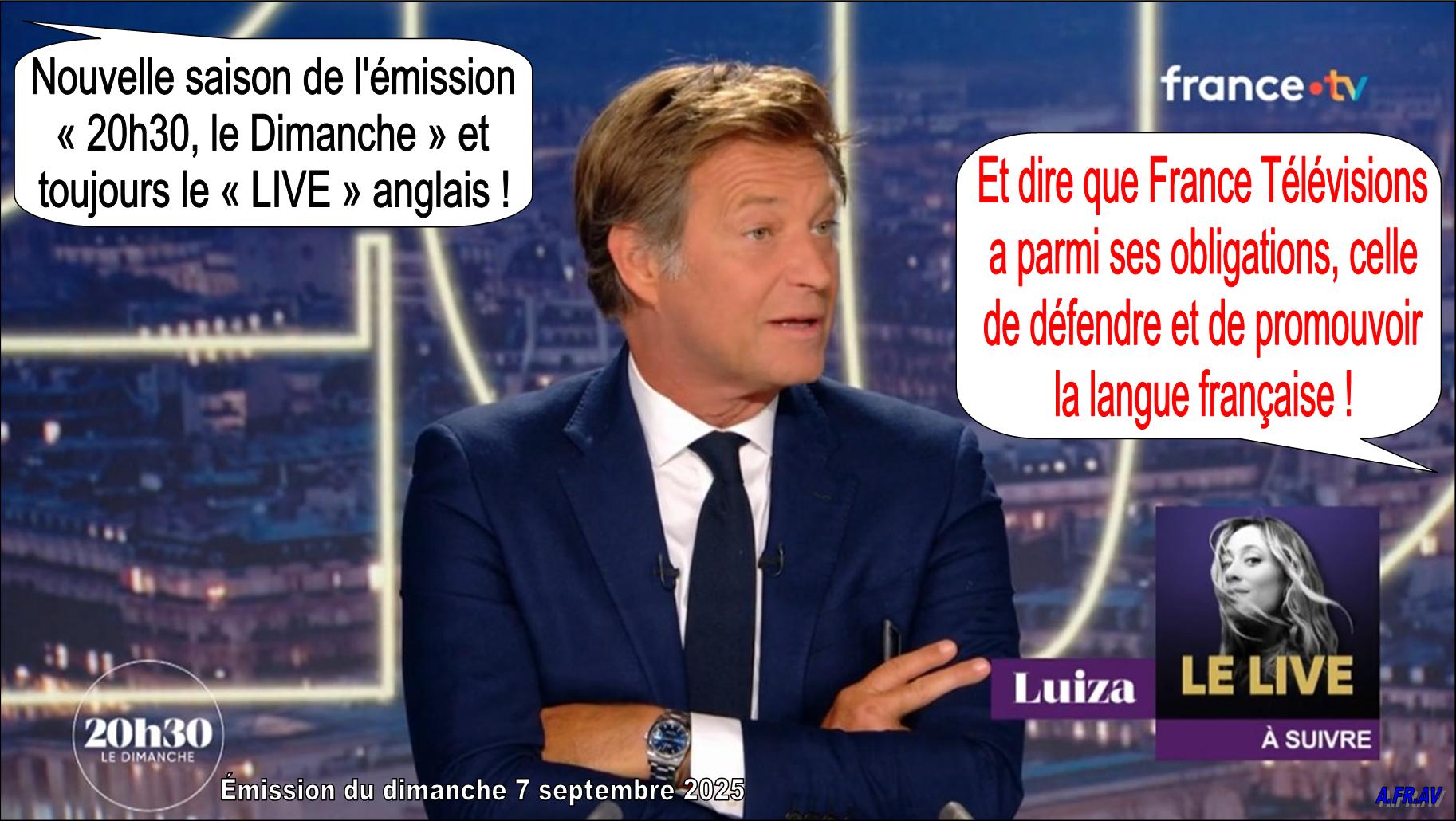 Laurent Delahousse, 20h30 le dimanche, Luiza