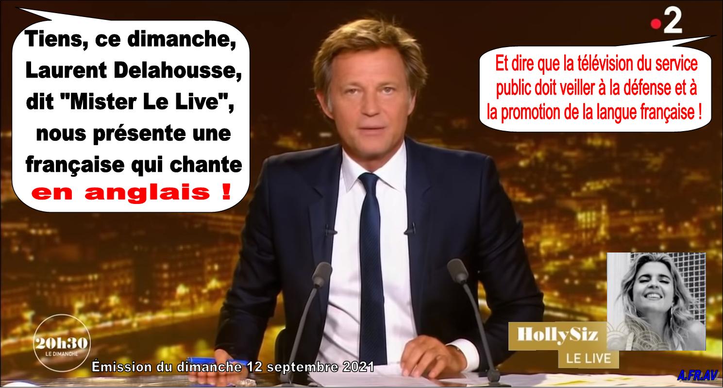 Laurent Delahousse, HollySiz, 20h30 le Dimanche