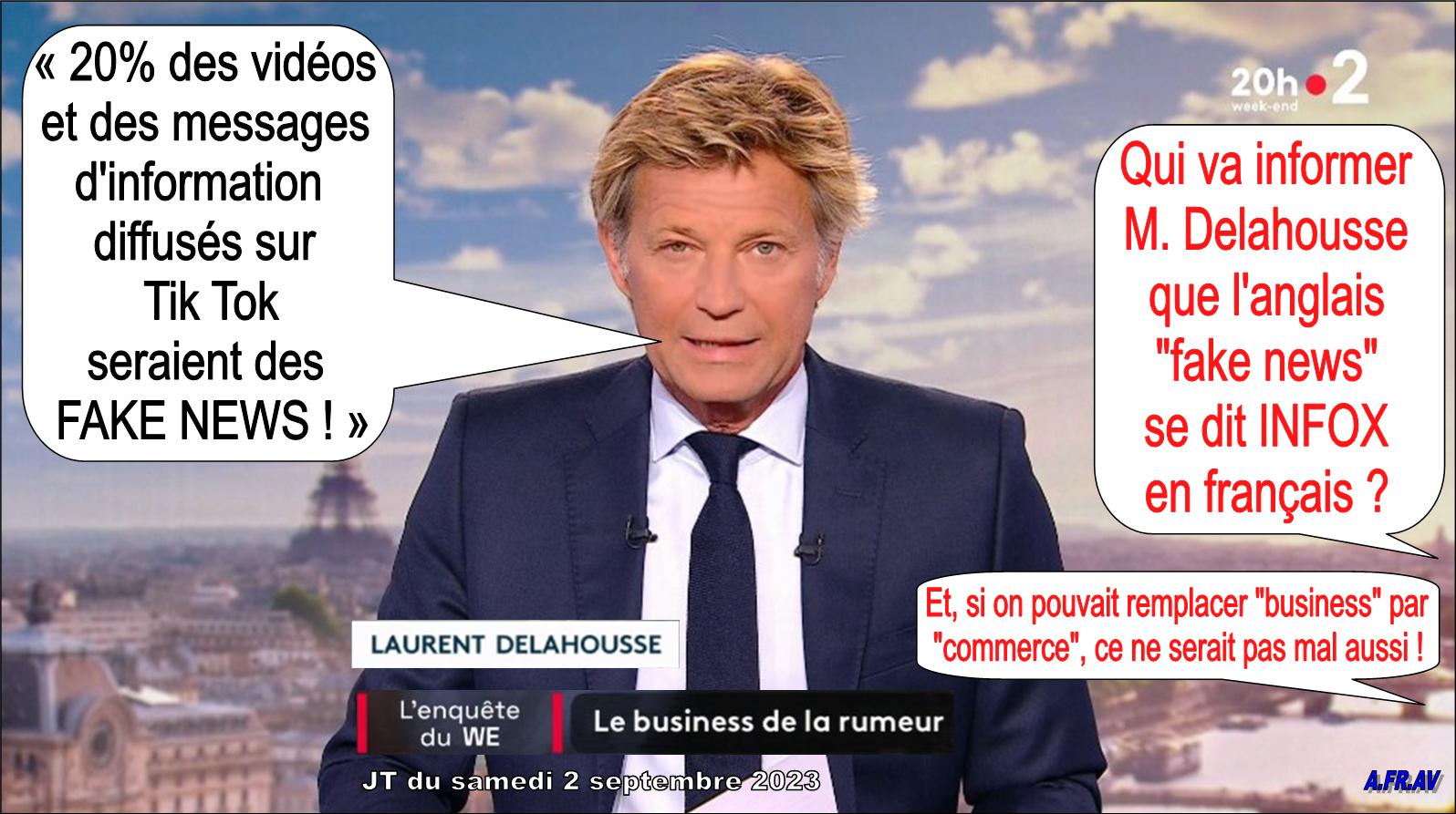 Laurent Delahousse et l'infox au JT de 20h de France 2