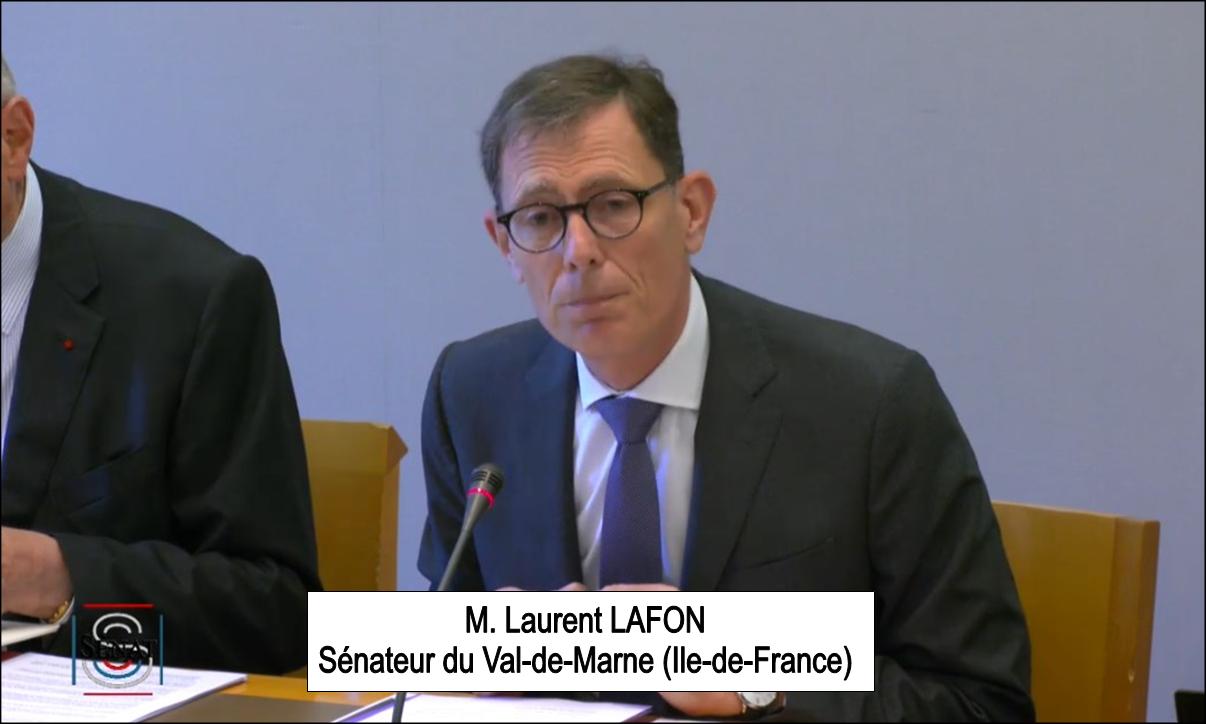 Laurent Lafon, langue française et Francophonie
