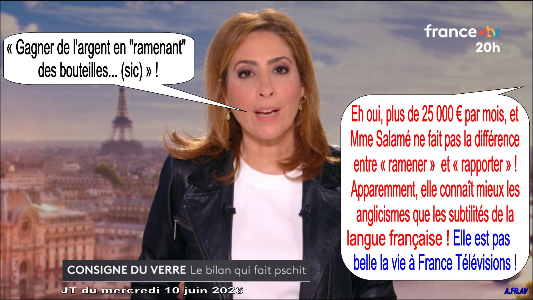 Léa Salamé, langue française