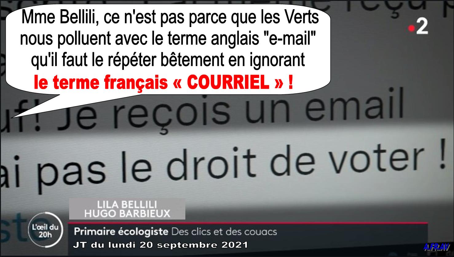 Lila Bellini, Hugo Barbieux, Primaire des Ecologistes, France-2, JT de 20h