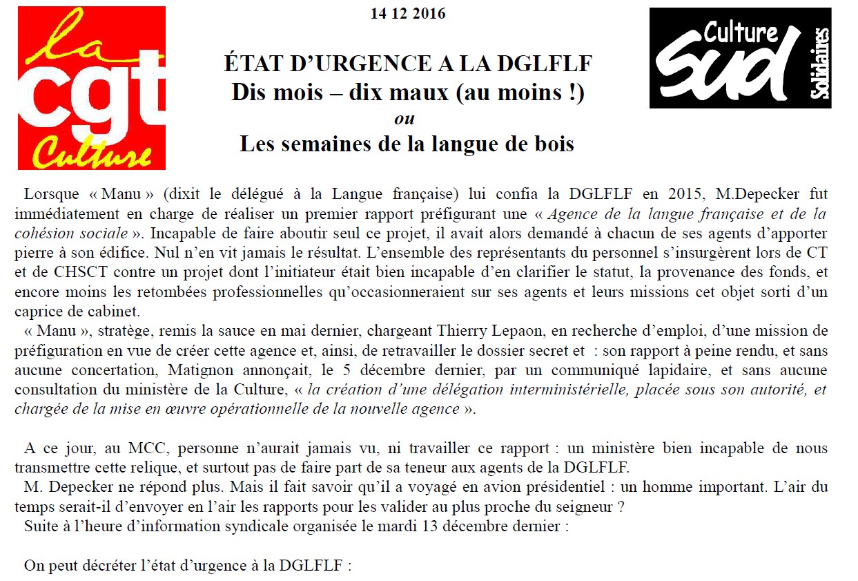 Loïc Depecker et la langue de bois à la DGLFLF