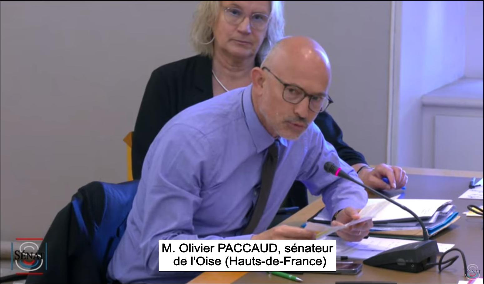 M Olivier PACCAUD, langue française et Francophonie, audition au sénat, le 31 mai 2023