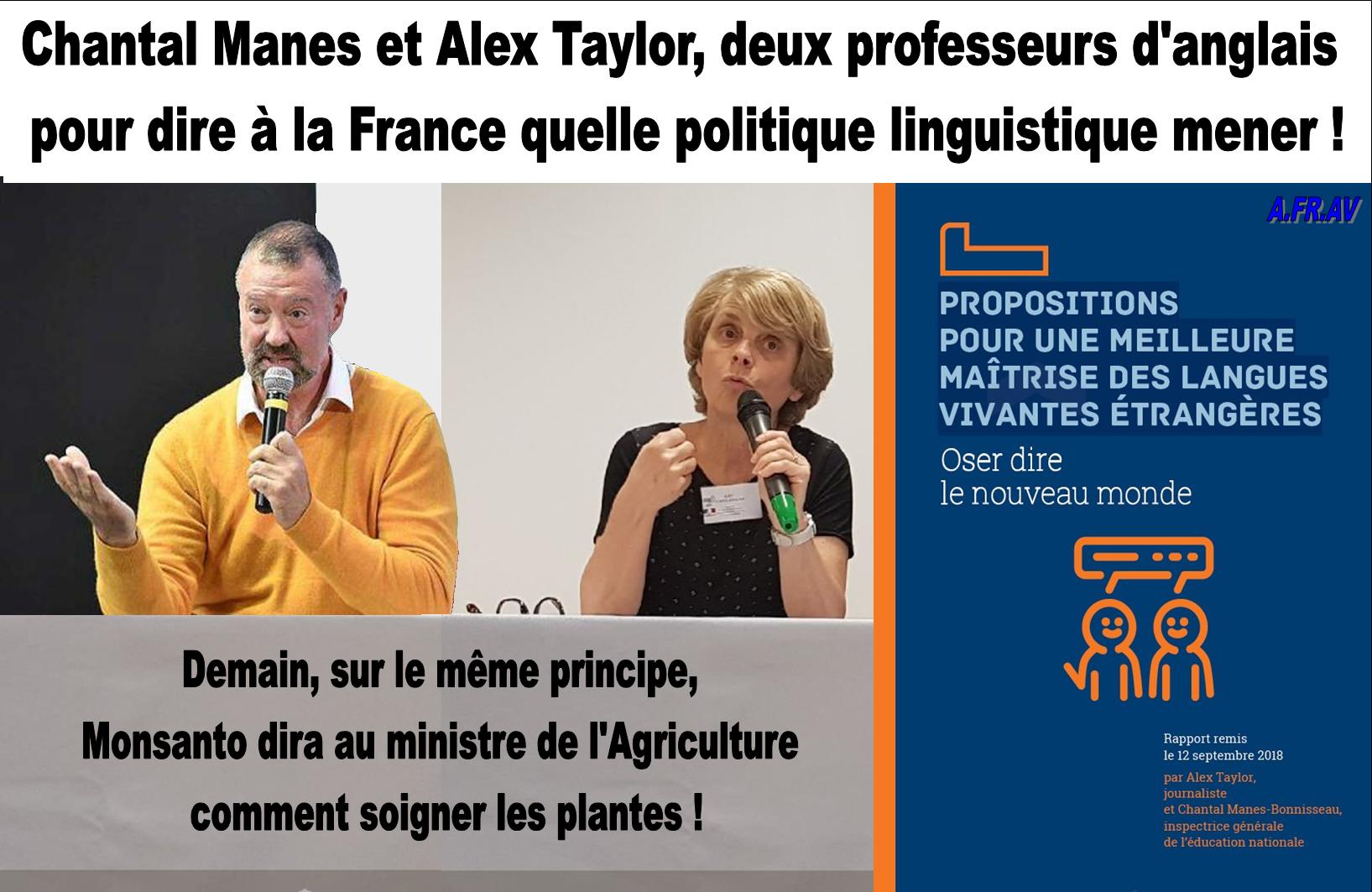 Alex taylor et Chantal Manes, deux professeurs d'anglais pour conseiller le ministre Blanquer sur les langues étrangères