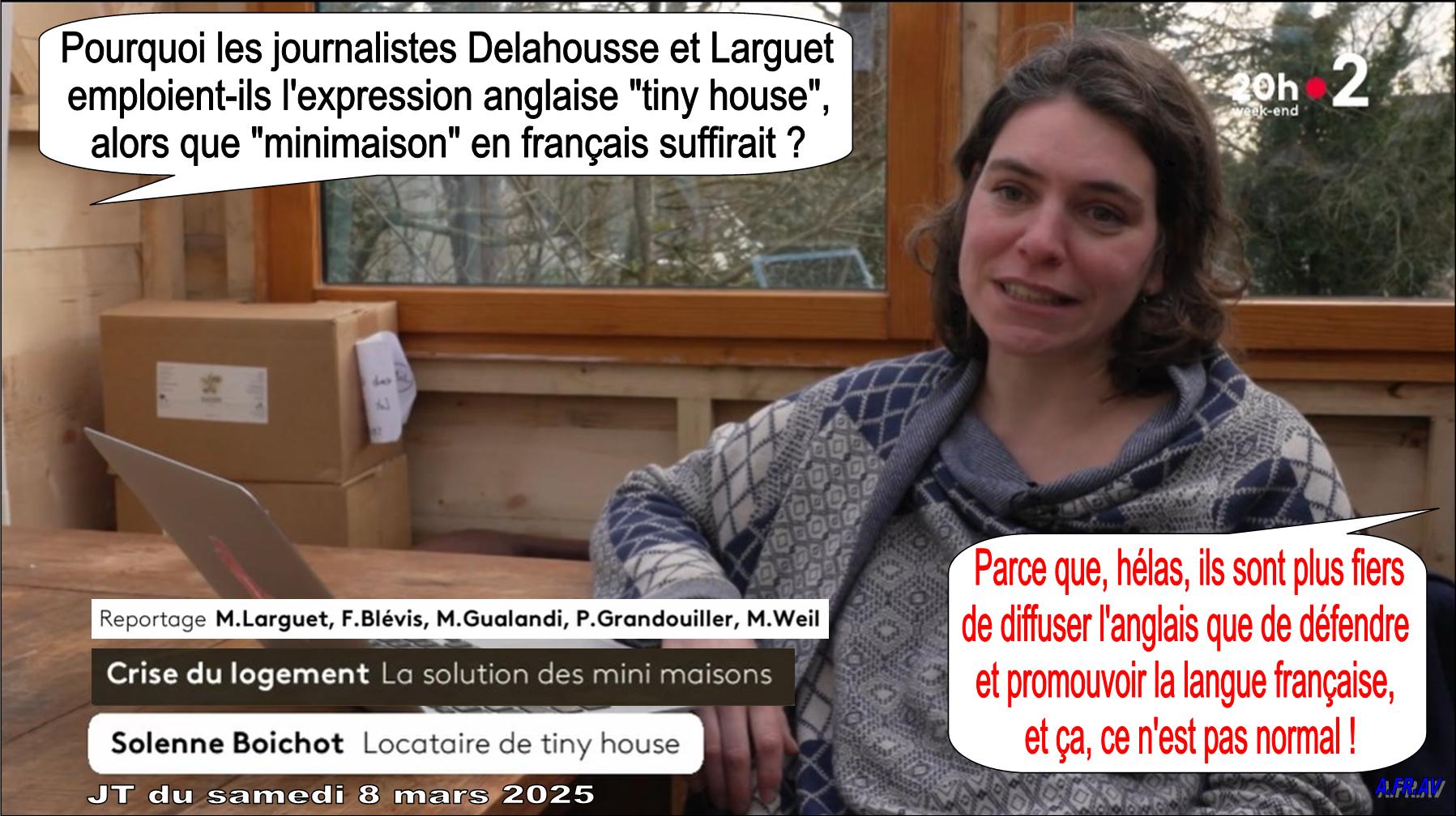 Maya Larguet, Laurent Delahousse, journalistes