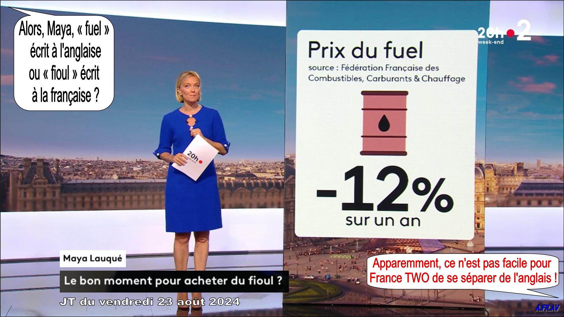 Maya_Lauqué au journal télévisé de 20 heures de France 2