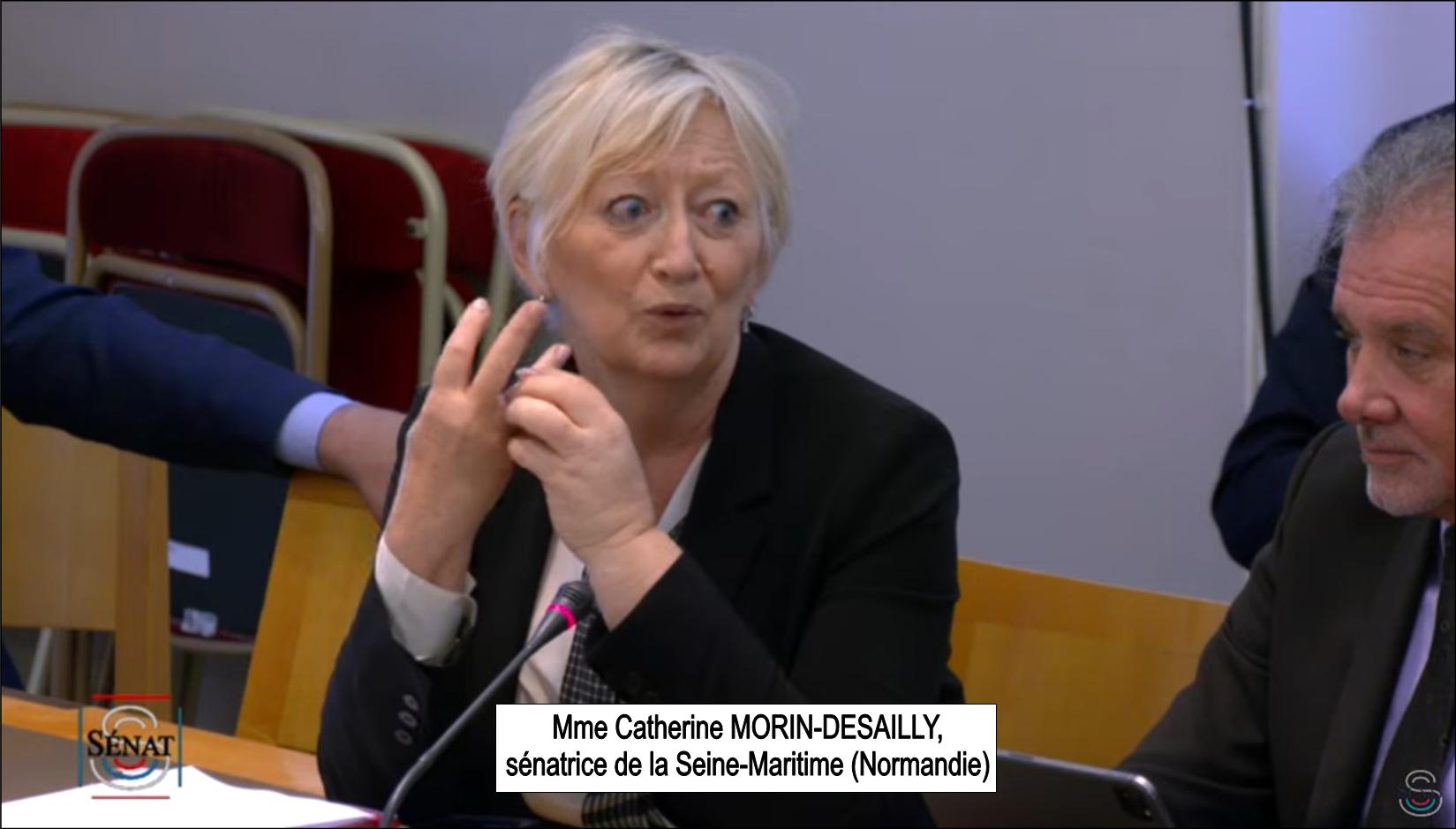 Mme Catherine MORIN-DESAILLY, langue française et Francophonie, audition au sénat, le 31 mai 2023