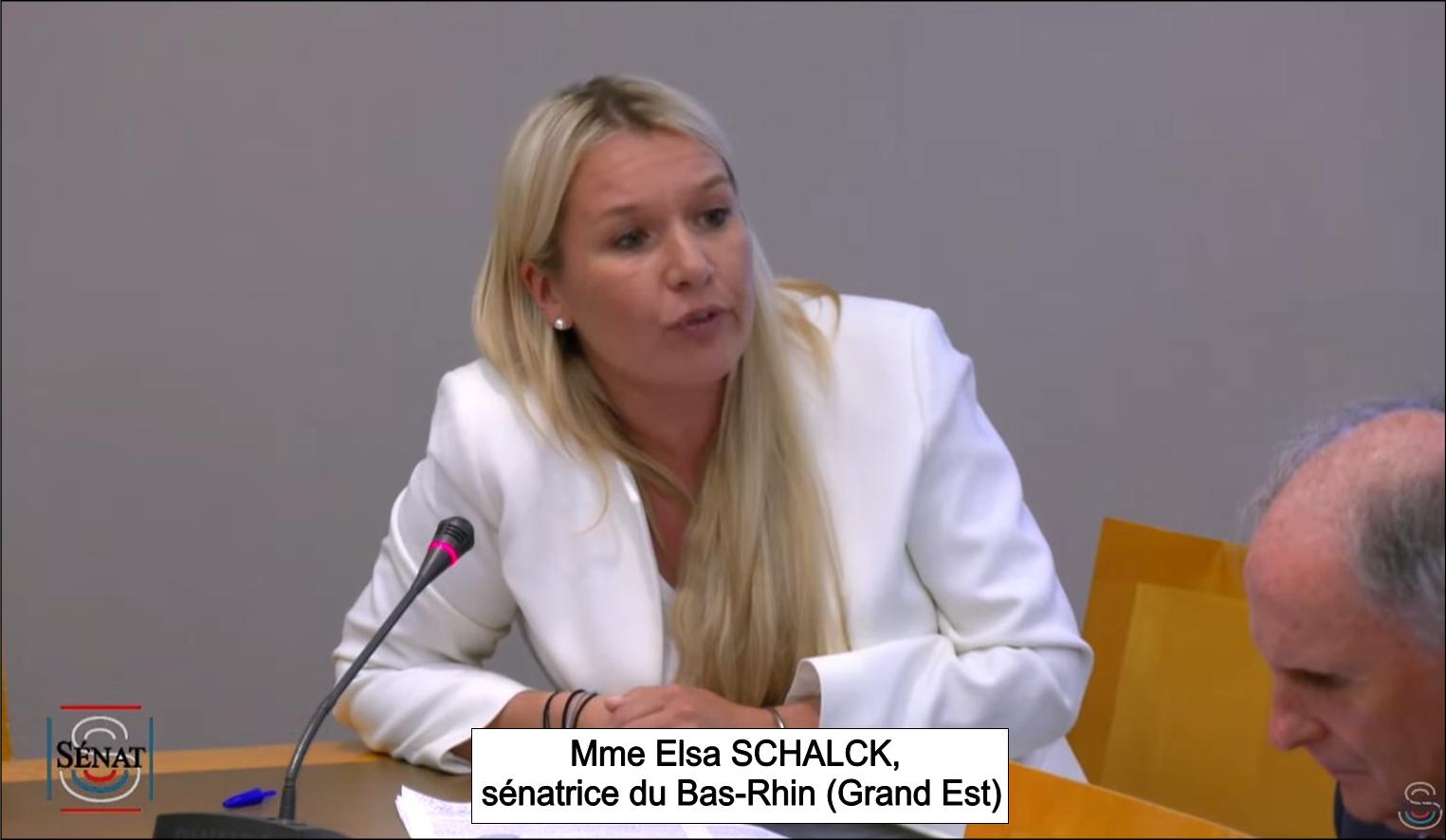 La snatrice, Mme Elsa SCHALCK, langue franaise et Francophonie, audition au snat, le 31 mai 2023