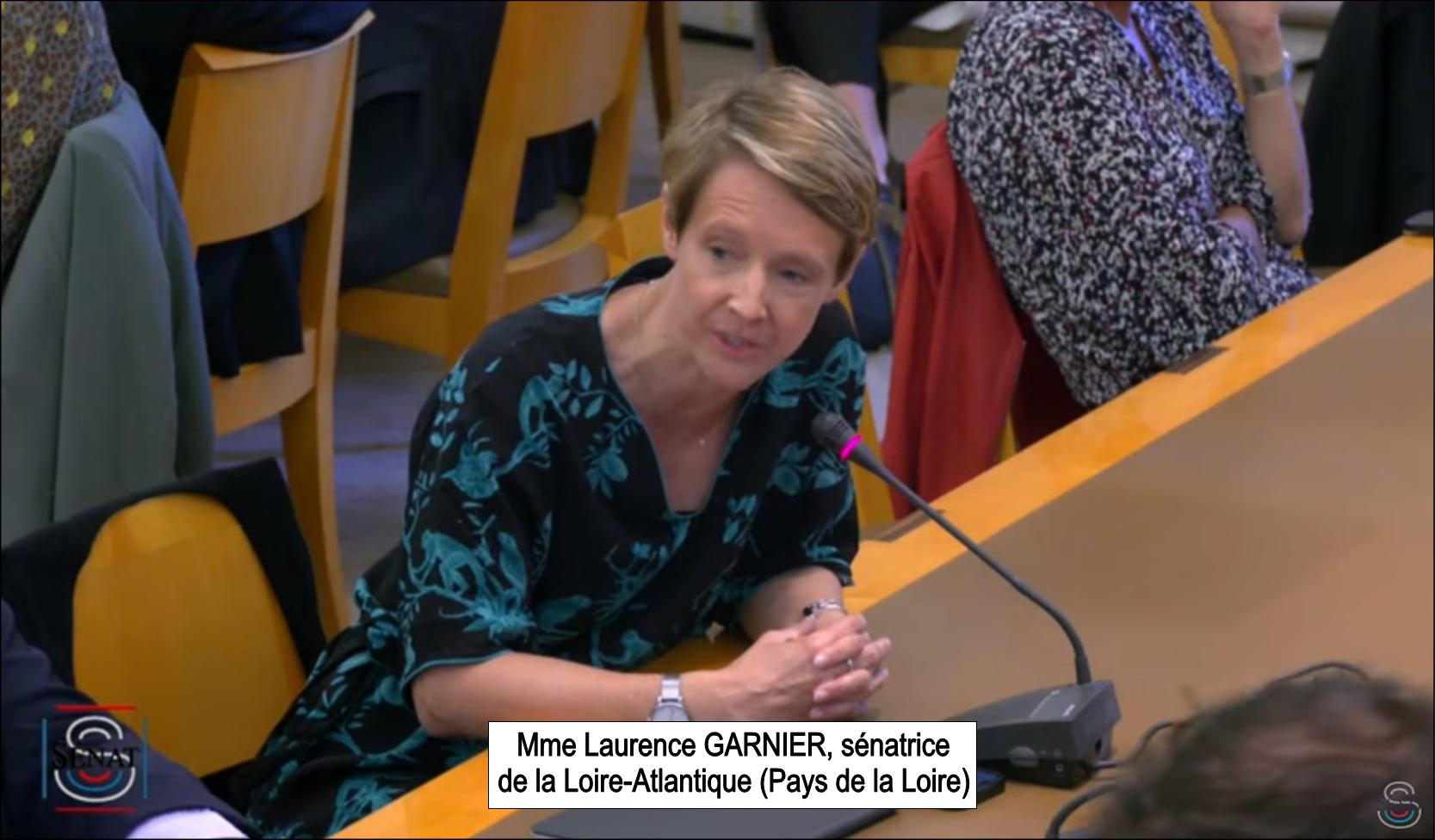 Mme Laurence GARNIER, langue française et Francophonie, audition au sénat, le 31 mai 2023