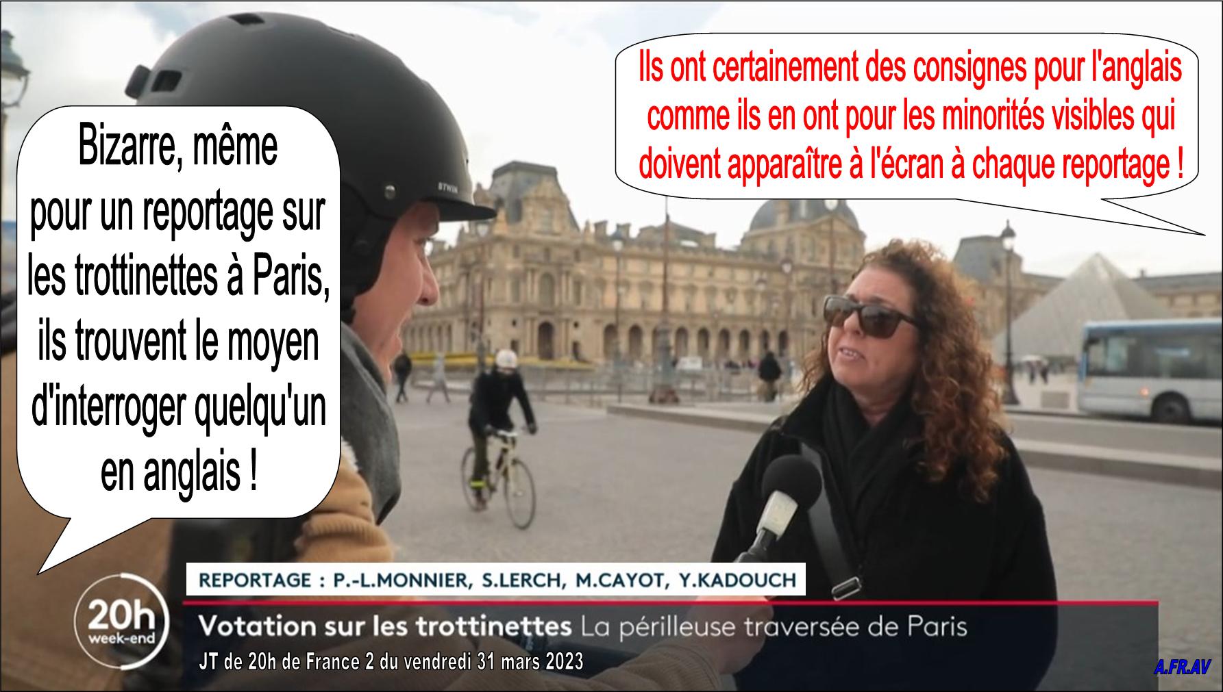 Paul-Luc Monnier et les minorités visibles, JT de 20h de France 2