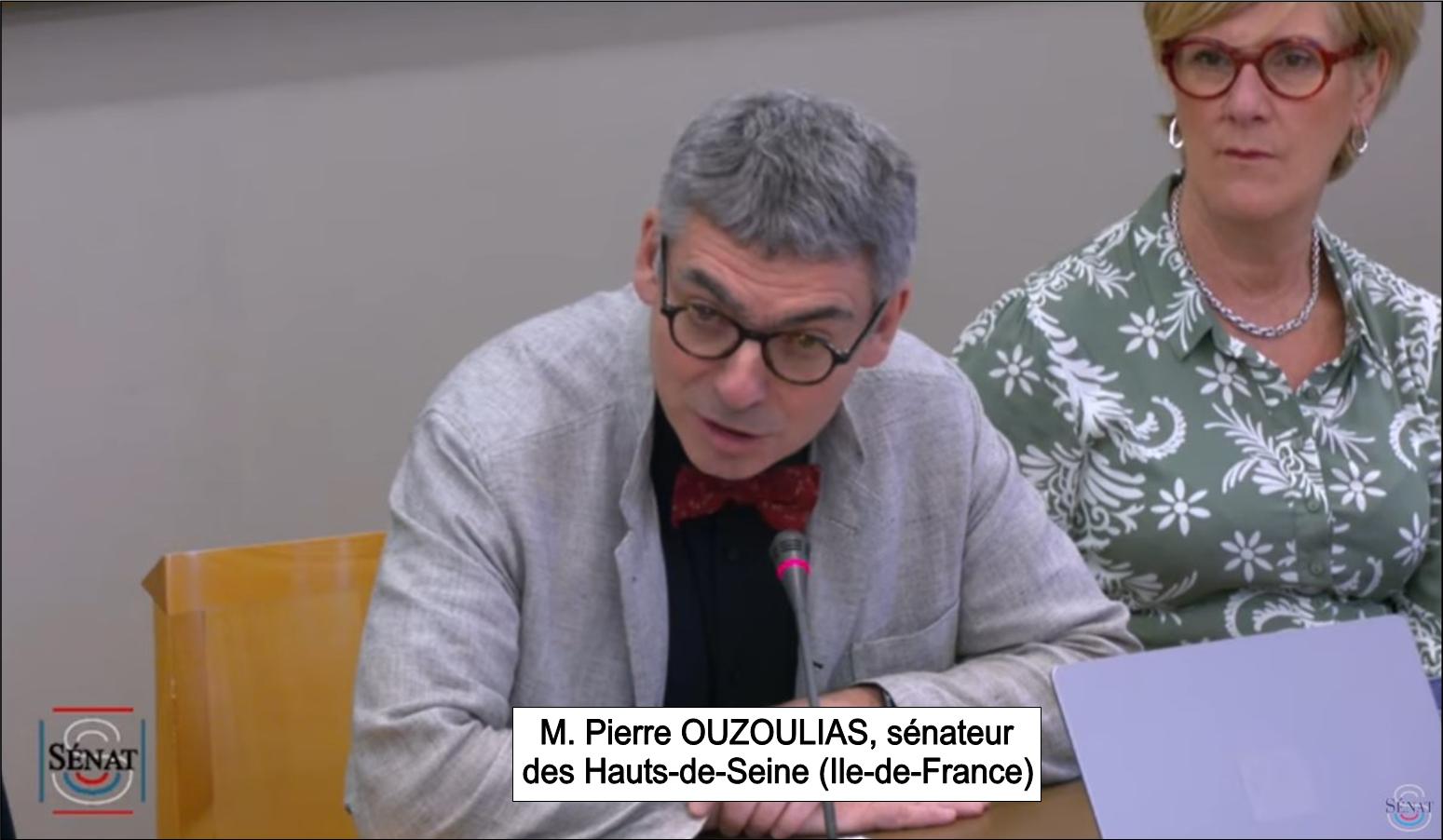 Pierre Ouzoulias, langue franaise et Francophonie, audition au snat, le 31 mai 2023