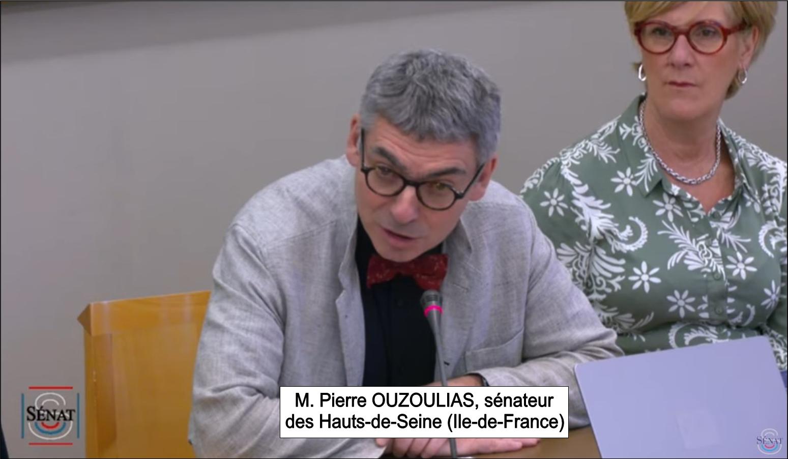 Pierre Ouzoulias, langue française et Francophonie, audition au sénat, le 31 mai 2023