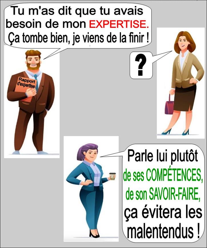 Pour employer le mot expertise à bon escient
