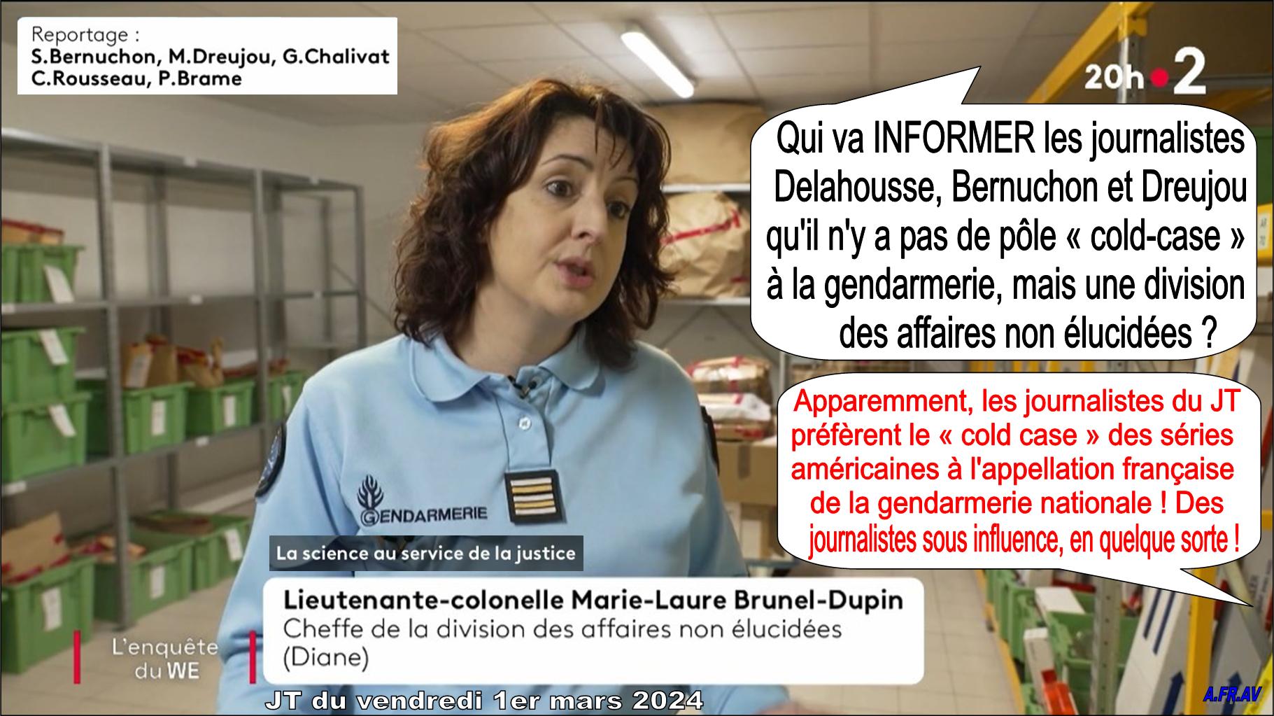 Sarah Bernuchon, Mathieu Dreujou, Laurent Delahousse, DIANE, Affaires non élucidées, gendarmerie nationale, JT de 20h de France 2