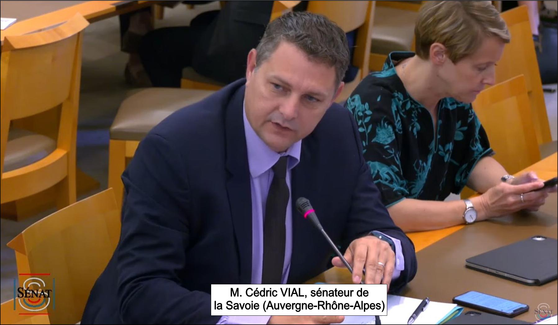 Sénateur Cédric VIAL, langue française et Francophonie, audition au sénat, le 31 mai 2023