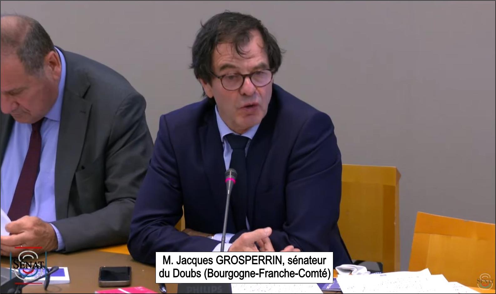 Sénateur Jacques GROSPERRIN, langue française et Francophonie, audition au sénat, le 31 mai 2023