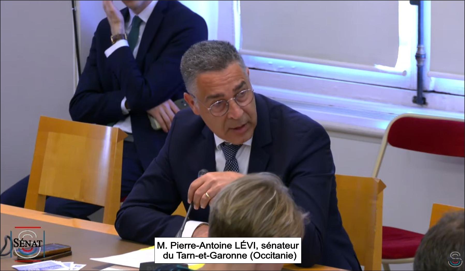 Sénateur Pierre-Antoine LEVI, langue française et Francophonie, audition au sénat, le 31 mai 2023.
