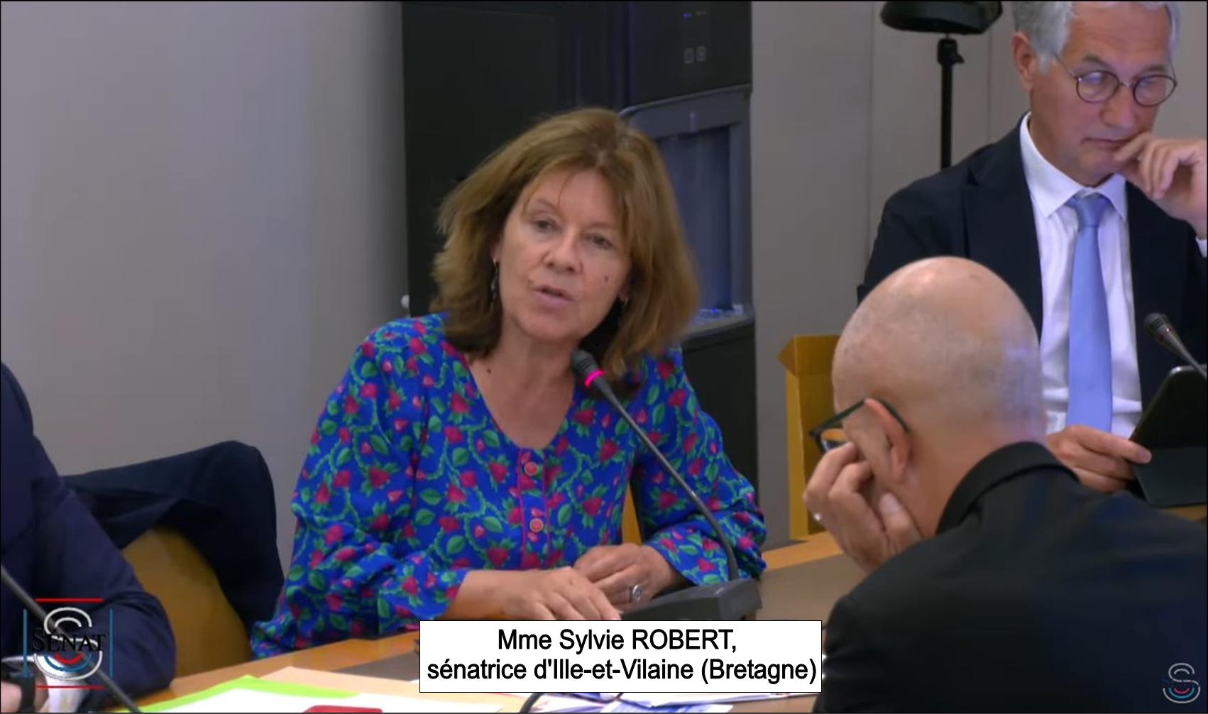 Sénatrice Sylvie ROBERT, langue française et Francophonie, audition au sénat, le 31 mai 2023