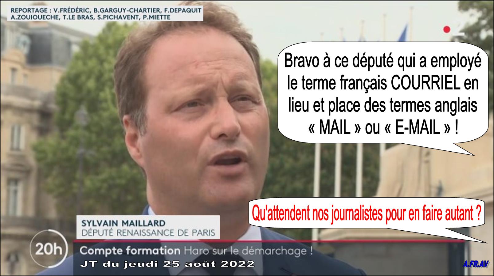 Sylvain Maillard, député et Victor Frédéric, journaliste
