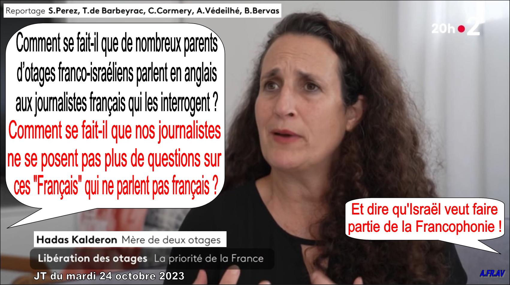 Sylvie Pérez, Thibaud de Barbeyrac, Chloé Cormery, Antoine Vedeilhe, Bruno Bervas, JT de 20h, France 2