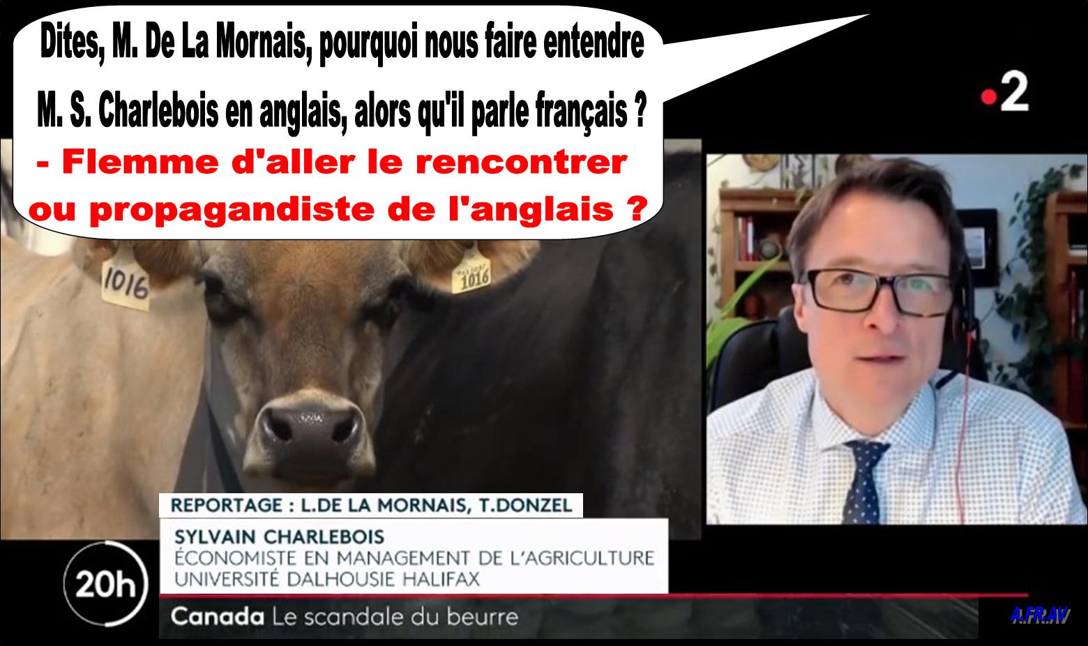Thomas Donzel, Loïc De La Mornais et Sylvain-Charlebois au 20h de France 2.jpg