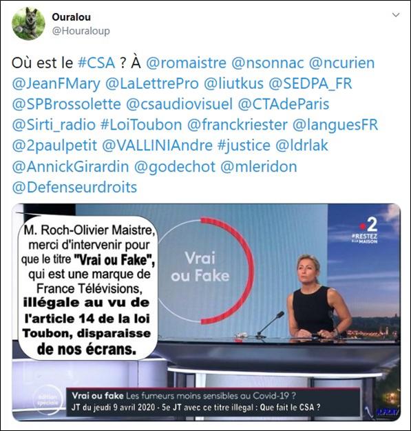 Vrai ou Fake au 20h de France 2