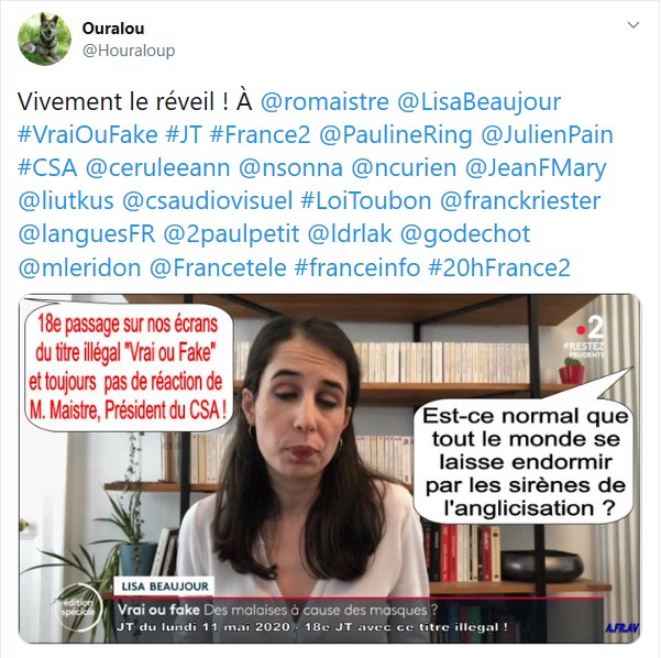 Lisa Beaujour et le Vrai ou Fake de France Télévisions au 20h de France 2